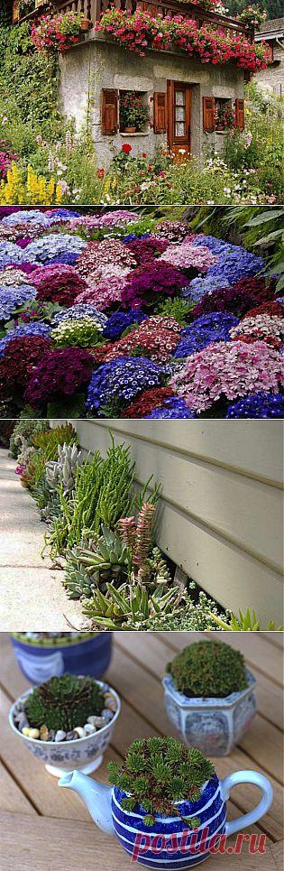 15 цветочных спецэффектов для украшения сада - Портал «Домашний»