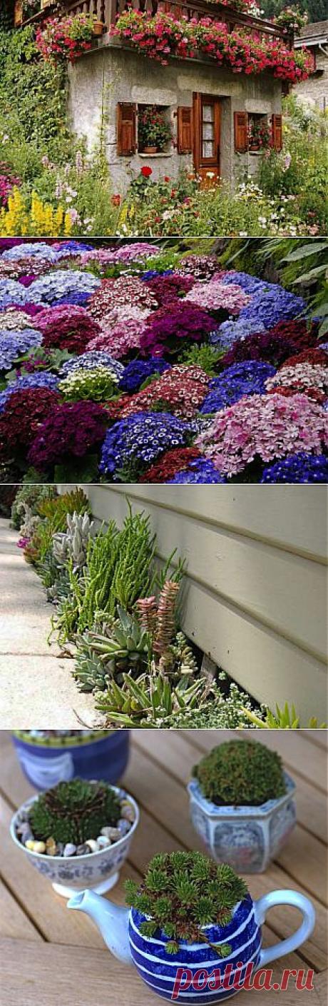 15 цветочных спецэффектов для украшения сада - Портал «Домашний»