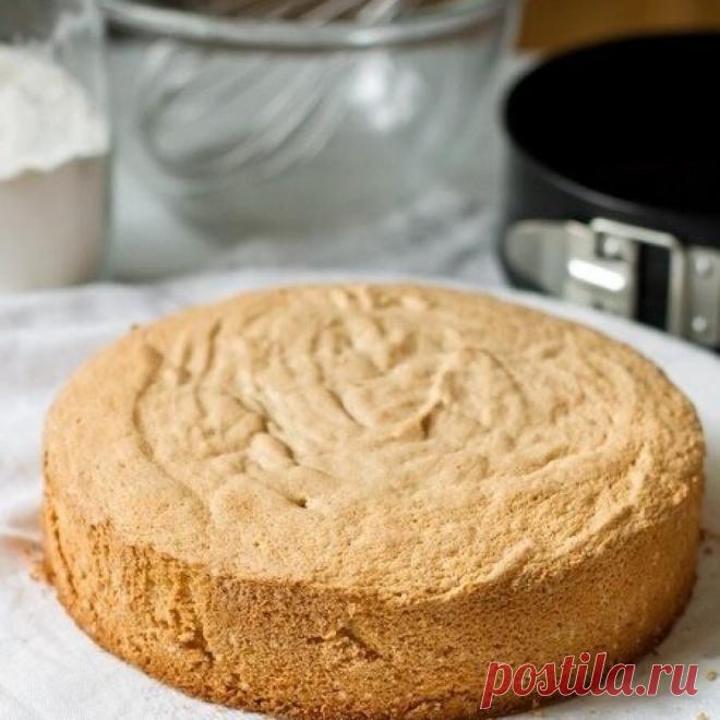 Бисквит, который получается всегда | Самые вкусные кулинарные рецепты