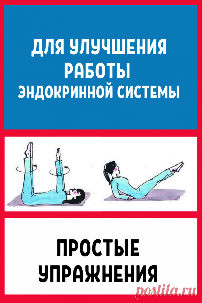 Простые упражнения для улучшения работы эндокринной системы..