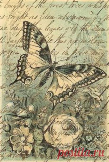 Imágenes vintage gratis / Free vintage images: Fondos vintage mariposas y letras