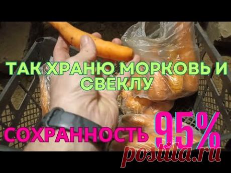 Как сохранить морковку и свеклу до нового урожая. Мой способ хранения моркови и свеклы до лета.