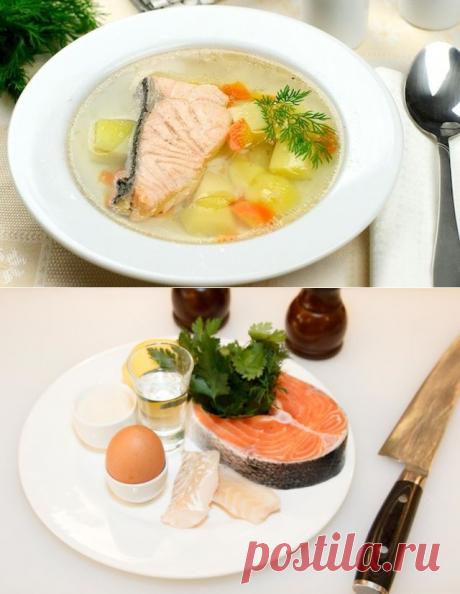 Домашняя уха с водкой — Вкусные рецепты