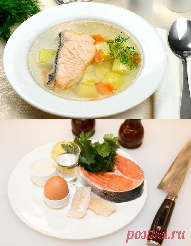 Домашняя уха с водкой — Вкусные рецепты