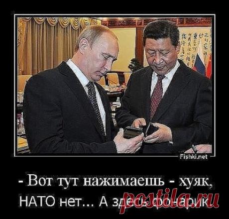 huge.jpeg (430×411)