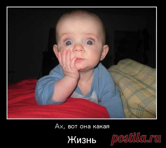 Дети пишут сочинения, реально посмеялась)))))) 
Во двор въехали две лошади. Это были сыновья Тараса Бульбы.
Чацкий вышел через задний проход и подпёрнул дверь палкой.
Лермонтов родился у бабушки в деревне, когда его родители жили в Петербурге
Онег…