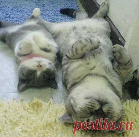 Учись отдыхать