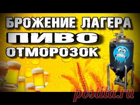 Как Сбродить пиво в ЦКТ . Температура , Давление . Лагер ОТМОРОЗОК , первый раз такое делаю !!!