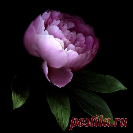 (4) Мой Мир@Mail.Ru