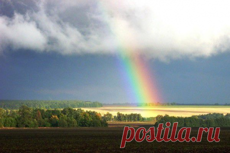 Ой ты, Русь, золотые просторы - Берегиня - Группы Мой Мир