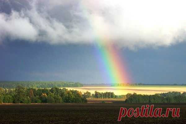 Ой ты, Русь, золотые просторы - Берегиня - Группы Мой Мир