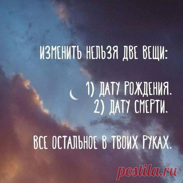 (2) Gallery.ru / Разум - Афоризмы - Jasnaja