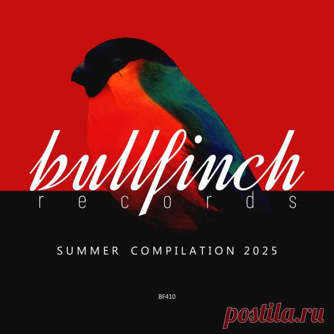 VA - Bullfinch Summer 2025 Compilation BF410 » MinimalFreaks.co
