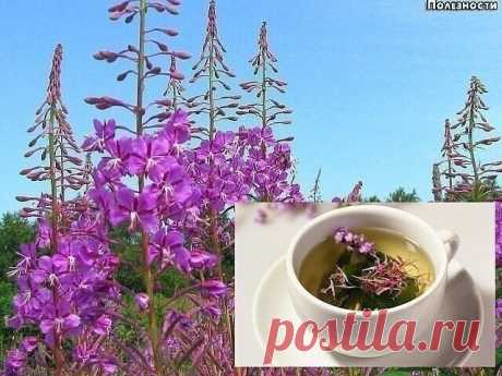 (3) Одноклассники