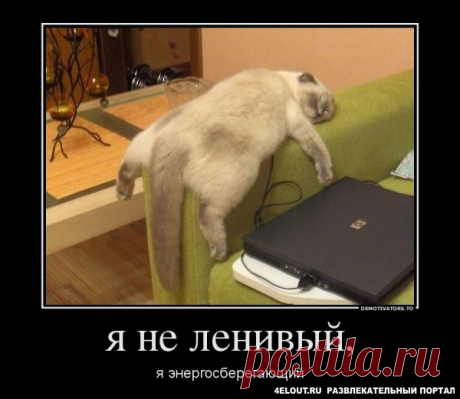 Смешные картинки с надписями