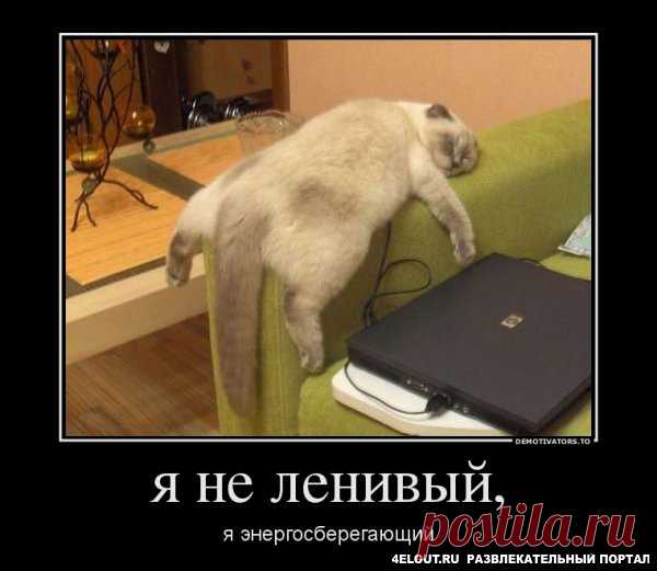 Смешные картинки с надписями