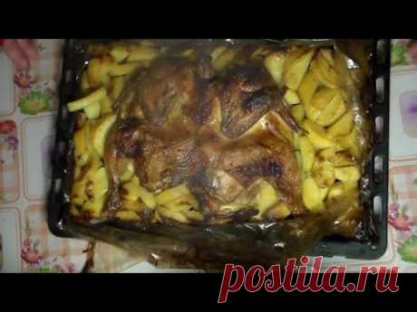 Лучший рецепт запечённой курицы с картошкой – готовим в духовке!
