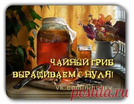 Женские посиделки - дети, рецепты, красота...)))
