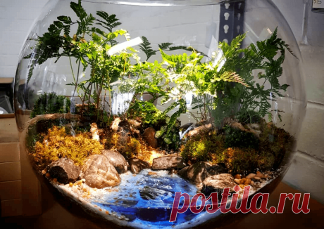 Флорариумы: виды, описание, идеи оформления ~ Planetalsad