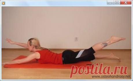 Видеокурс Александры Бониной «Секреты здоровой поясницы» | Система устранения болей в поясничном отделе позвоночника с помощью лечебных упражнений | Скачать