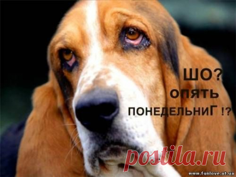 Воскресенье позади...)) | НАШ ГОРОДОК