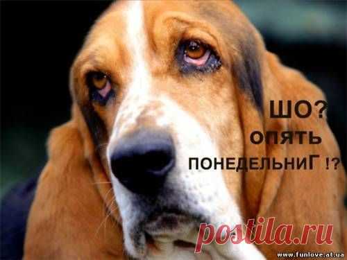 Воскресенье позади...)) | НАШ ГОРОДОК