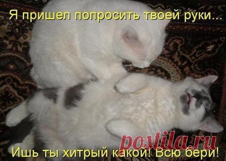 Любофф и расчет