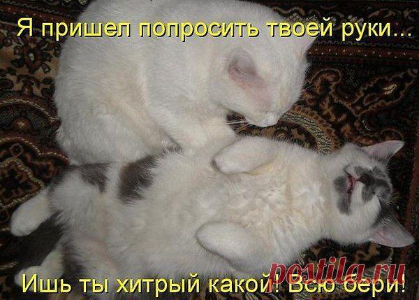 Любофф и расчет