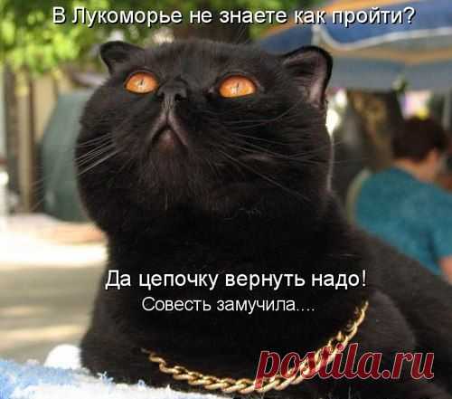 У лукоморья город чудный,
Ему уже за восемьсот.
Там днем и ночью кот приблудный
Русалок вдоль дорог пасет.
Там вовсе нет дубов зеленых,
Зато у оживленных трасс
Стоят в тени дубы в погонах
И зелень требуют от нас.
Там на журнальных на обложках
Баба-яга на курьих ножках –
Коль заплатила миллион,
Теперь она секс-эталон.
Там по двое юристы бродят
И делят власть напополам,
То песнь фальшивую заводят,
То сказки сказывают нам.
Ворюги там живут, не тужат,
Им прокуроры верно служат.