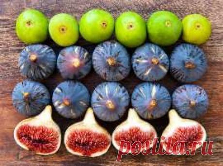 Инжир: чем он вреден, полезен и как его есть