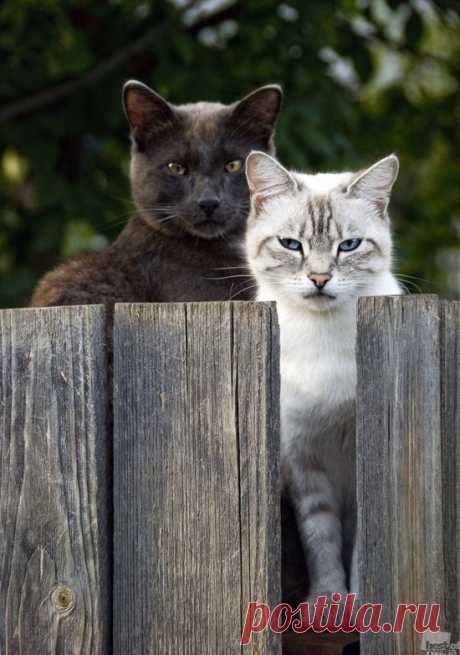 Get Out!