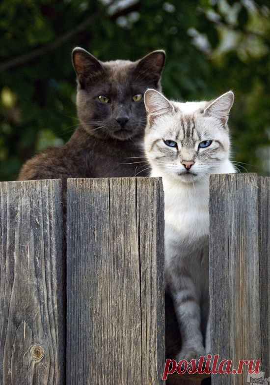Get Out!