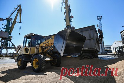 Кассационный суд подтвердил передачу «Родных полей» в доход России