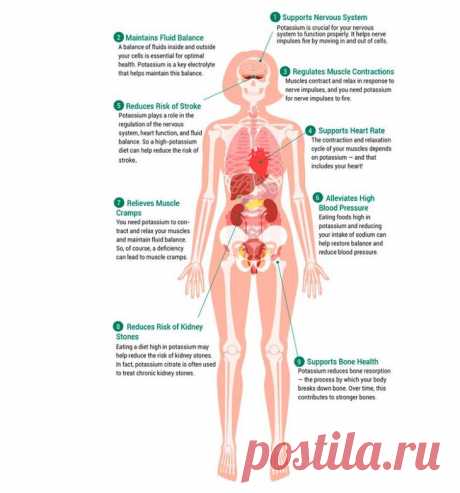 Симптомы дефицита калия в организме Для чего нужны электролиты в организме? Эти элементы помогают проводить электричество. Калий — элемент, который играет важную роль для здоровья человека.Энергия, которая управляет метаболизмом, связан...