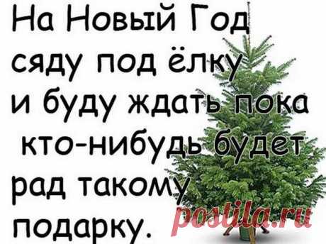 Прикольные статусы на Новый год Дракона 2024: красивые