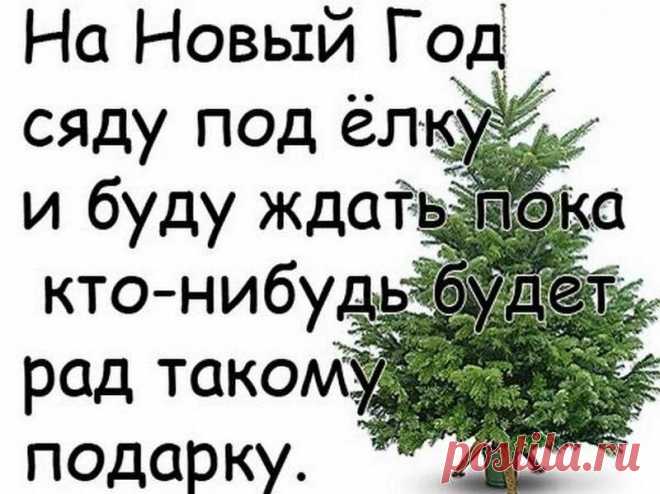 Прикольные статусы на Новый год Дракона 2024: красивые