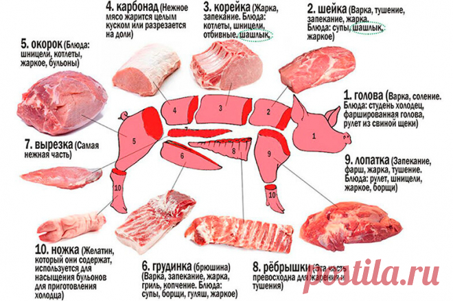 Карты разделки мяса: свинина и говядина | Европа маркет | Яндекс Дзен