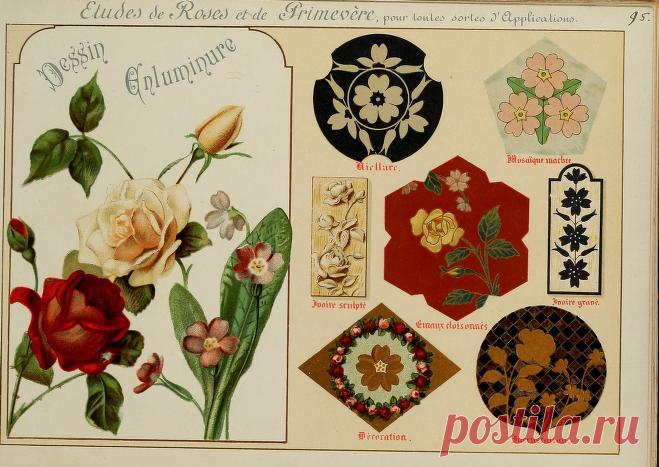 Fleurs d'après nature et fleurs ornementales : études de fleurs et feulliages avec diverses interprétations applicables à l'enluminure et à la décoration : Guillot, Ernest : Free Download, Borrow, and Streaming : Internet Archive