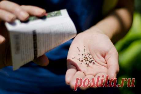 Посевной календарь на март 2022 года