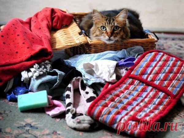 7 способов найти потерянную вещь в доме