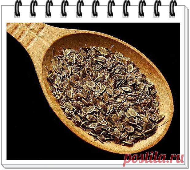 СЕМЕНА УКРОПА И ВЕРА В ИСЦЕЛЕНИЕ КАТАРАКТУ ПОБЕДИЛИ И ВЕРНУЛИ ЗРЕНИЕ!