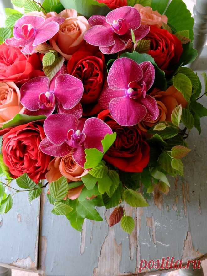 (63) rose and orchid | tremoro bouquet & flowers