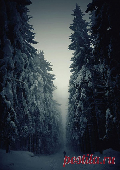 157.jpg (637×900)