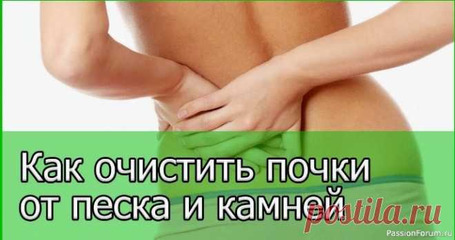 Как очистить ПОЧКИ от 
