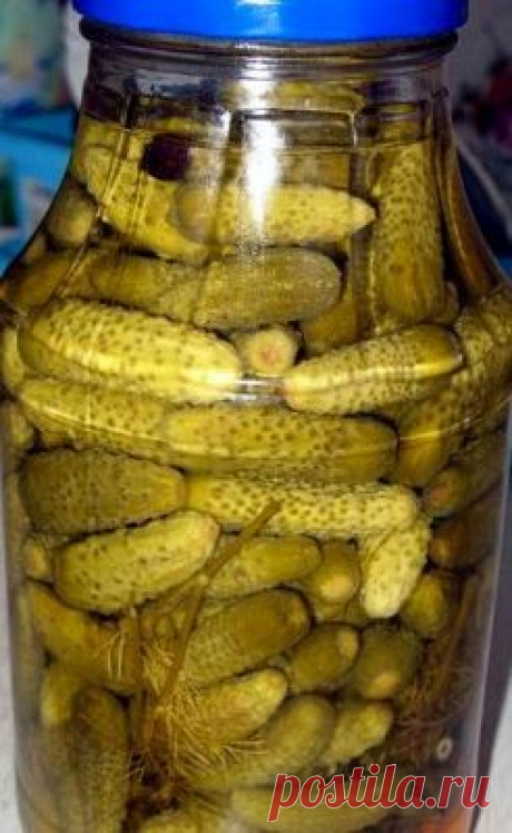 (2) Pinterest