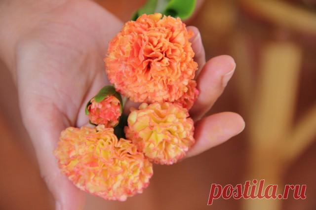 МАСТЕР-КЛАСС / Tutorial | Записи в рубрике МАСТЕР-КЛАСС / Tutorial | Вдохновлялочка Марриэтты