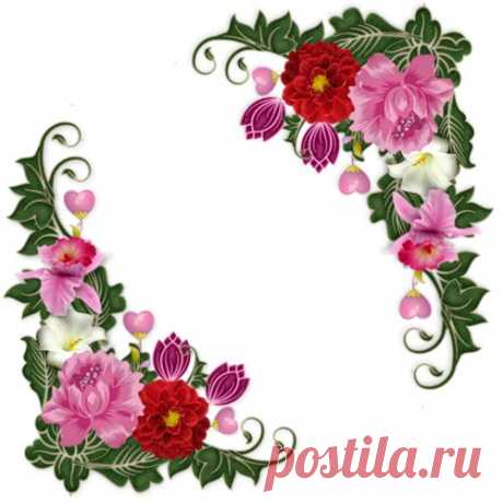 (24) Pinterest