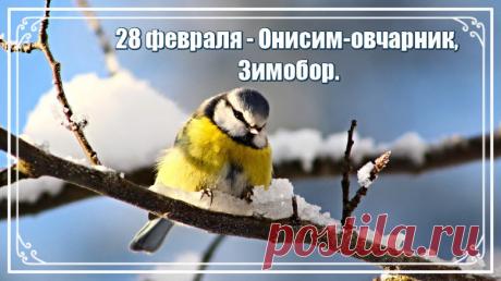 С днем Онисима Овчара! Пусть в этот день, когда зима с весной встречается, ваши овечки принесут здоровый и крепкий приплод. Открытки на Онисим Овчар!