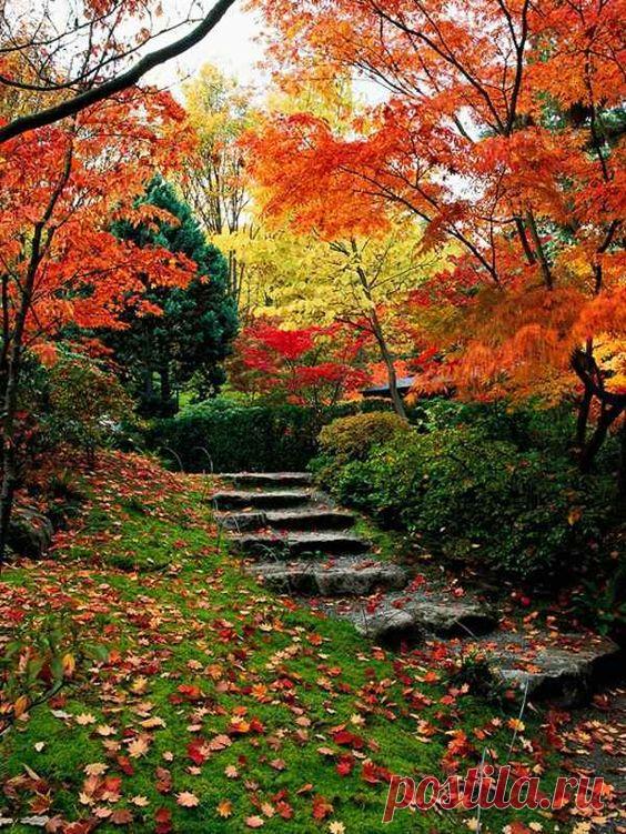Hillside garden in autumn -Landscaping on a slope - How to make a beautiful hillside garden  /  Источник:  avso.org  |  Pinterest
