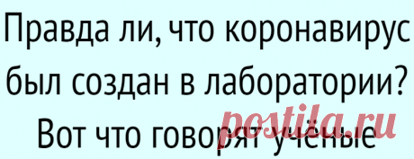Правда ли, что коронавирус был создан в лаборатории? Вот что говорят учёные
Журнал Nature собрал аргументы за искусственное происхождение COVID-19 и против этой теории. Самая распространённая теория, которой придерживается большинство исследователей, гласит: SARS‑CoV‑2, вероятно, имеет естественное происхождение и передался людям от летучих мышей или других животных. Но версия о лабораторной...
Читай дальше на сайте. Жми подробнее ➡